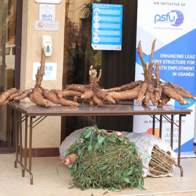 AIRO-Cassava-Growers-exhibit-at-the-PSFU-Dialogue-on-rising-wheat-prices